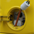 The Future of the Fuel Cell