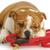 Trim Pounds With Your Pet