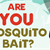 Are You Mosquito Bait? [Infographic]