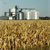 Ethanol Needs Boost From Feds