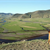Go on a Desert Retreat With Your Dog