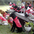 Dog Scouts of America: Is Your Dog a Leader?