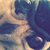 Dog Blogging 101: Make Your Pet a Social Media Star