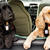 Save a Life With the Right Dog Car Restraint