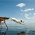 The Joy of Dock Jumping