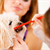 How to Brush Your Dog’s Teeth