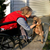Assistance Dogs Partner With Special-needs Athletes