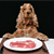 The Dangers of Raw Meat Diets