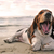 Terminate Stinky Dog Breath