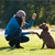 13 Easy Tricks to Teach Your Dog Commands