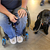 Dogs for Heroes: Helping Our Veterans