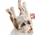 Does Your Dog Need a Massage?