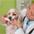 5 Things Your Dog’s Dentist Wants You to Know