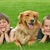 Your Kids Best Friend