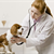 Teach Your Dog to Handle an Exam