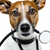 How to Manage Your Dog�s Health Care