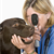 How to Prevent 5 Common Dog Illnesses