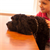 Dog Feeding Mishaps Corrected