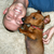 Get Connected With Your Dog