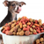 Size up Your Dog's Food Needs