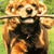 Special Needs Dogs Hit the Road