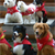 Dog Scouts of America Rewards Canines