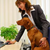 Take Your Dog to Work, Improve Productivity