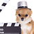 Your Dog Can Be a Professional Actor