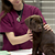 Top 10 $1,000 Dog Health Insurance Claims