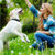 Private or Group Dog-training Classes?