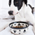 Dog Food Goes Natural and Holistic