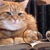Writers Who Love Their Cats