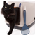 Litter Box Training for Your Cat