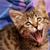 Do Cats Sing?