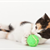 Is It Normal for Kittens to Act Hyper?