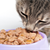 Improve Your Senior Cat’s Eating Behavior