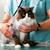 Cat �Breast Cancer�: Mammary Disease