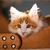 Your Cat’s Inner Kitten Released