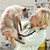 Improve Your Cat’s Visit to the Vet