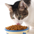 The 5 Easiest Ways to Keep Your Cat Healthy