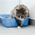 How to get your cat to use the litter box