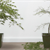 5 Great Ways to Kill Your Houseplants