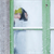 Window Weather Proofing