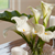 Welcome your guests this season with fragrant floral d�cor.