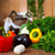 How Does It Work? Composting