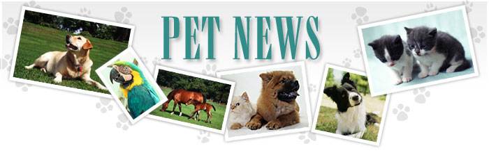Pet News